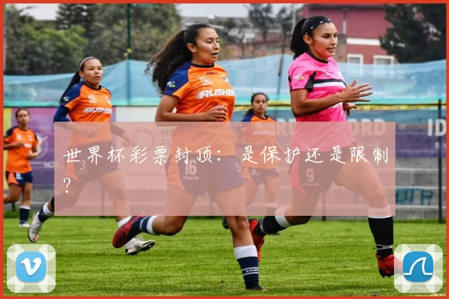 世界杯彩票封顶：是保护还是限制？