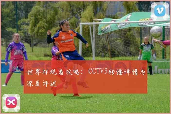 世界杯观看攻略：CCTV5转播详情与深度评述