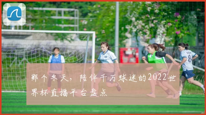 那个冬天，陪伴千万球迷的2022世界杯直播平台盘点