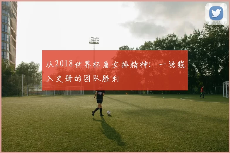 从2018世界杯看女排精神:一场载入史册的团队胜利