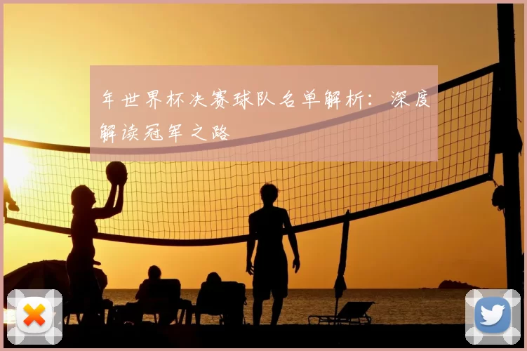 年世界杯决赛球队名单解析：深度解读冠军之路