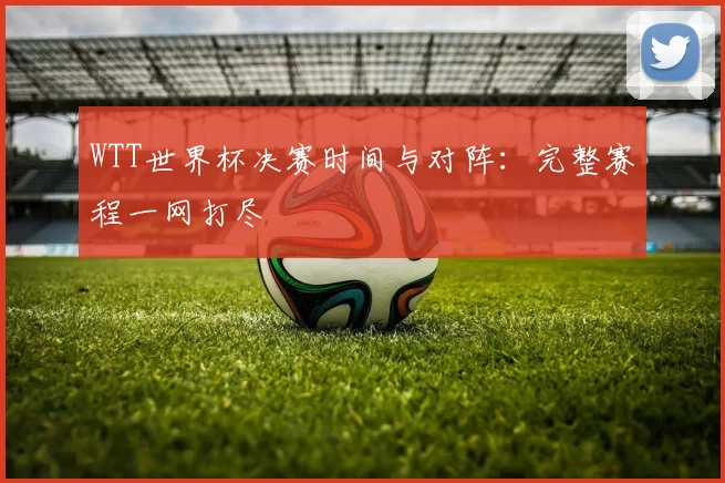 WTT世界杯决赛时间与对阵：完整赛程一网打尽