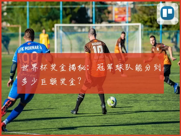 世界杯奖金揭秘:冠军球队能分到多少巨额奖金?