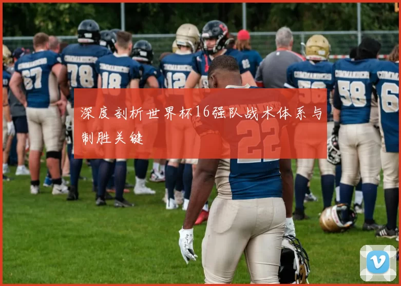 深度剖析世界杯16强队战术体系与制胜关键