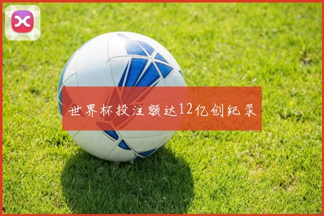 世界杯投注额达12亿创纪录