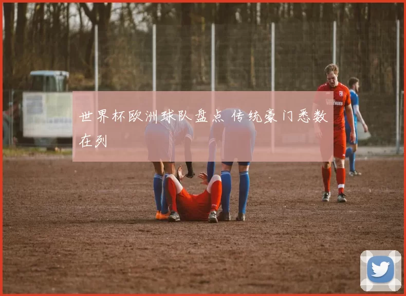 世界杯欧洲球队盘点 传统豪门悉数在列