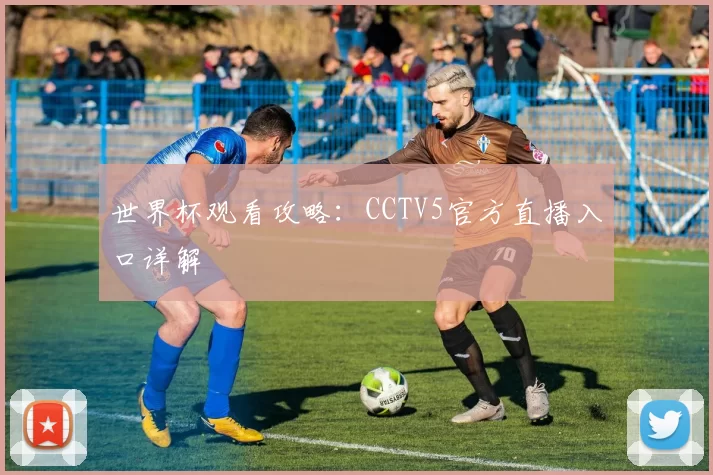 世界杯观看攻略:CCTV5官方直播入口详解