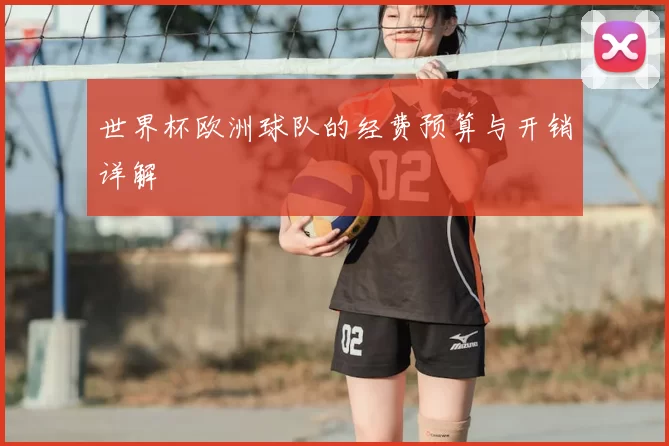 世界杯欧洲球队的经费预算与开销详解