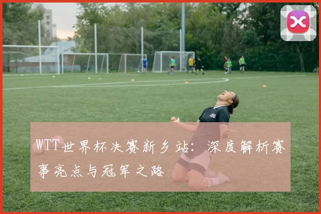 WTT世界杯决赛新乡站:深度解析赛事亮点与冠军之路