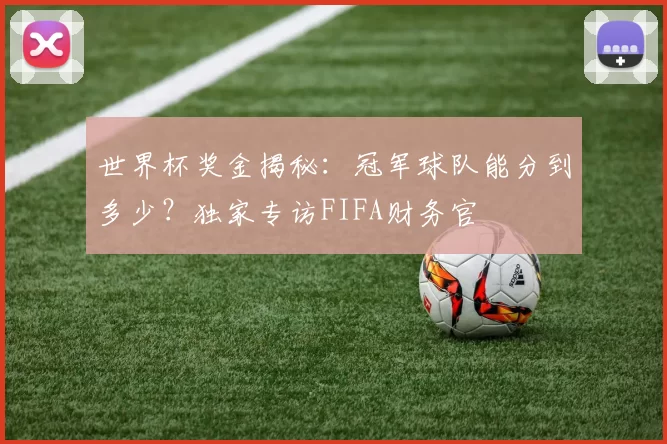 世界杯奖金揭秘：冠军球队能分到多少？独家专访FIFA财务官