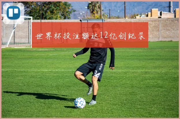 世界杯投注额达12亿创纪录