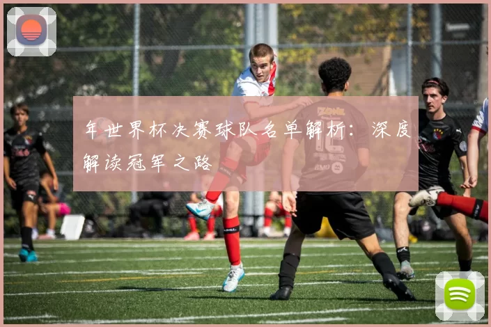 年世界杯决赛球队名单解析：深度解读冠军之路