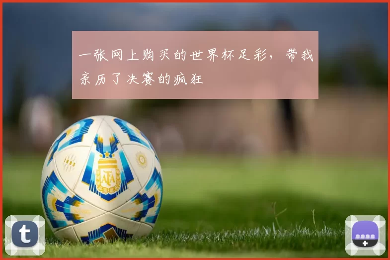 一张网上购买的世界杯足彩，带我亲历了决赛的疯狂